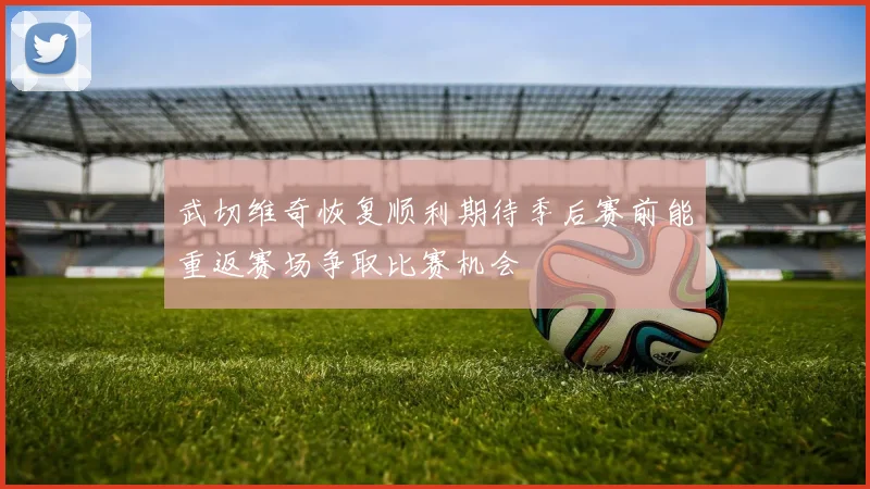 武切维奇恢复顺利期待季后赛前能重返赛场争取比赛机会