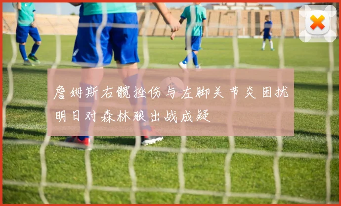 詹姆斯右髋挫伤与左脚关节炎困扰明日对森林狼出战成疑
